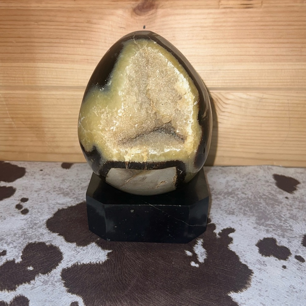 Septarian Dragon Egg with Black Onyx Stand